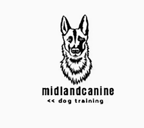 MIDLANDCANINE << DOG TRAINING