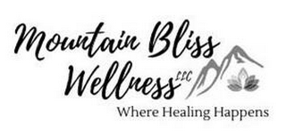 MOUNTAIN BLISS WELLNESS LLC WHERE HEALING HAPPENS