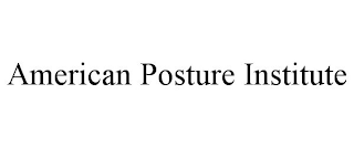 AMERICAN POSTURE INSTITUTE