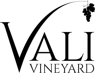 VALI VINEYARD