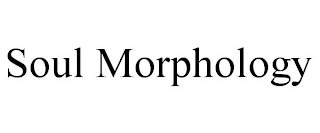 SOUL MORPHOLOGY
