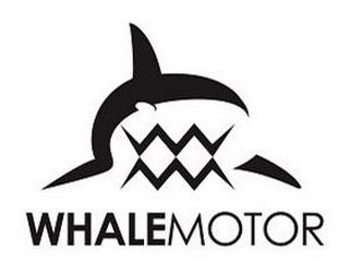 WHALEMOTOR