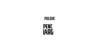 PULQUE PENC LARG
