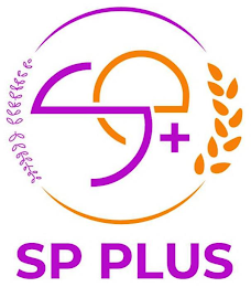 SP SP PLUS