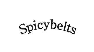 SPICYBELTS