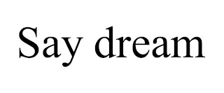 SAY DREAM