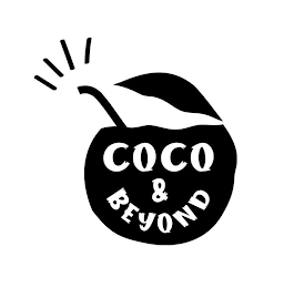 COCO & BEYOND