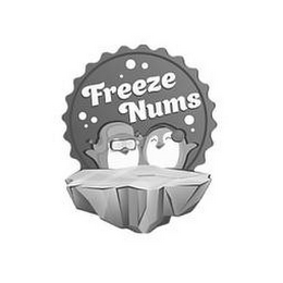 FREEZE NUMS