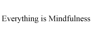 EVERYTHING IS MINDFULNESS