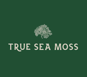 TRUE SEA MOSS