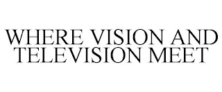 WHERE VISION AND TELEVISION MEET