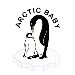 ARCTIC BABY