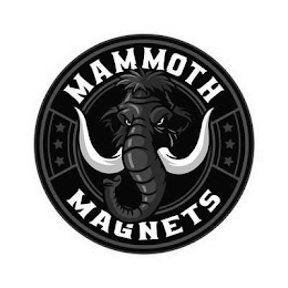 MAMMOTH MAGNETS