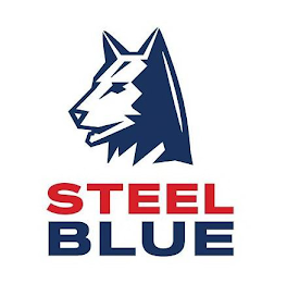 STEEL BLUE