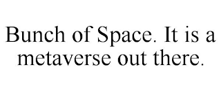 BUNCH OF SPACE. IT IS A METAVERSE OUT THERE.