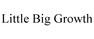 LITTLE BIG GROWTH