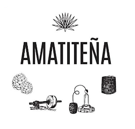 AMATITEÑA