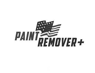 PAINT REMOVER +