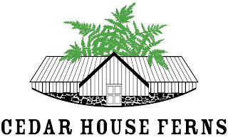 CEDAR HOUSE FERNS