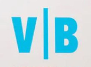 V | B