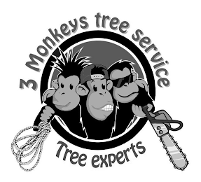 3 MONKEYS TREE SERVICE TREE EXPERTS