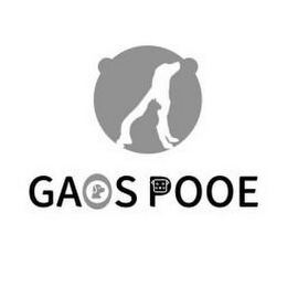 GAOSPOOE