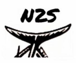 N2S