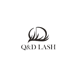 Q&D LASH