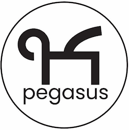 PEGASUS