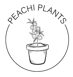 PEACHI PLANTS