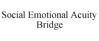 SOCIAL EMOTIONAL ACUITY BRIDGE