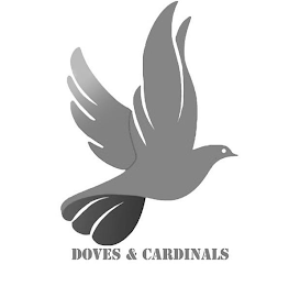 DOVES & CARDINALS