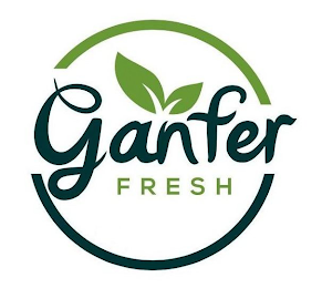 GANFER FRESH