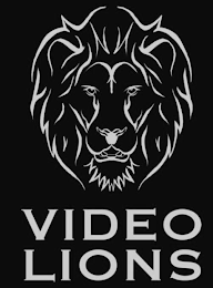 VIDEO LIONS