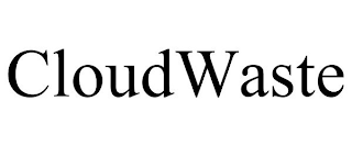 CLOUDWASTE