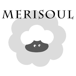 MERISOUL