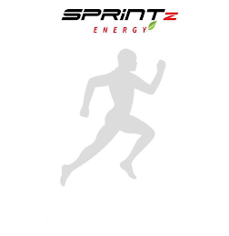 SPRINTZ ENERGY