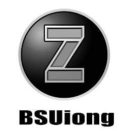 Z BSUIONG