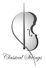 CLASSICAL STRINGS