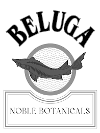 BELUGA NOBLE BOTANICALS