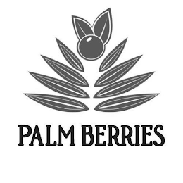 PALM BERRIES