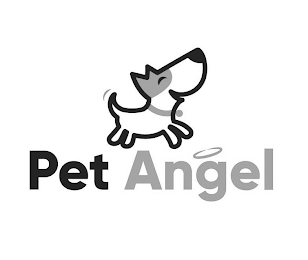 PET ANGEL