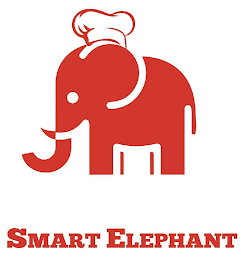 SMART ELEPHANT