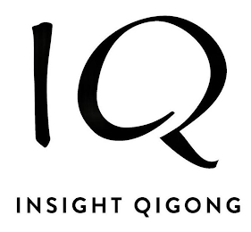 IQ INSIGHT QIGONG