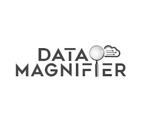 DATA MAGNIFIER