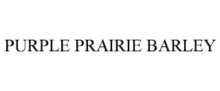 PURPLE PRAIRIE BARLEY