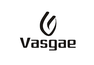 VASGAE