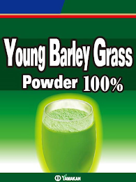 YOUNG BARLEY GRASS POWDER 100% YAMAKAN