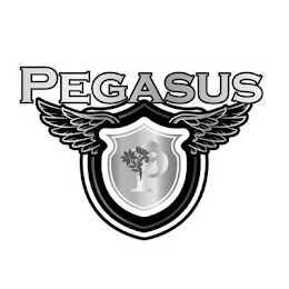 P PEGASUS