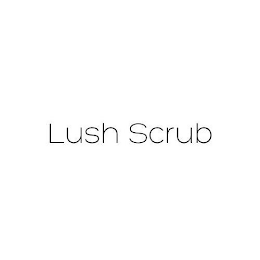 LUSH SCRUB